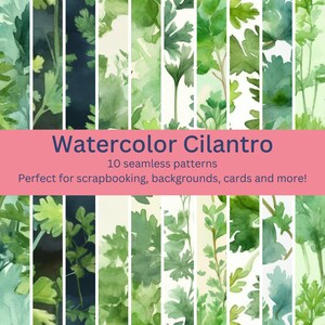 10 frisse digitale naadloze koriander-aquarelpatronen: ontwerpen voor culinaire, kruiden- en natuurlijke thema-ambachten - Instant Download Artwork