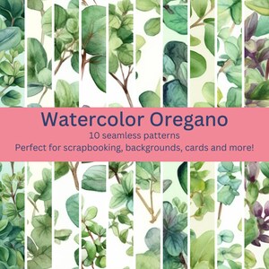 10 vivaci motivi digitali ad acquerello di origano senza soluzione di continuità: più disegni perfetti per erbe, cucina, artigianato a tema giardino - Download istantaneo