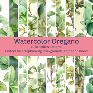 10 vivaci motivi digitali ad acquerello di origano senza soluzione di continuità: disegni perfetti per erbe, cucina, artigianato a tema giardino - download istantaneo