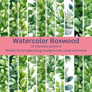 10 Lush Digital Seamless Watercolor Boxwood Patterns: Even More Designs for DIY Projects, Decor & Backgrounds - Instant Download Artwork