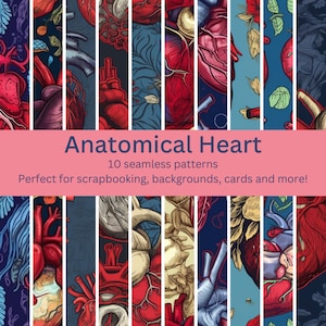 Può includere: Dieci motivi senza cuciture con illustrazioni anatomiche del cuore. L'immagine presenta dettagliate rappresentazioni del cuore umano in tonalità rosse, blu e beige. Il testo "Anatomical Heart" e "10 seamless patterns" è visibile.