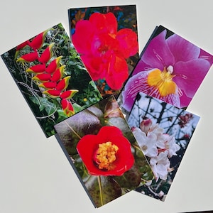 Luxe bloemenfotowenskaarten
