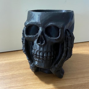 May include: A black skull-shaped planter with a textured surface. The planter has a wide opening at the top and is supported by small feet. The skull's features, including eye sockets, nose, and teeth, are clearly defined.