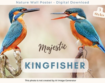 Majestic Kingfisher Wall Poster, 2 for 1, Real Photography, Nature Artwork for Home & Office, Bird Print Wall Art, Digital Download