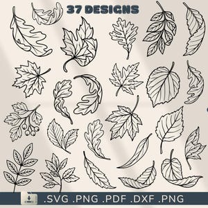 Peut inclure: Une collection de 37 illustrations en noir et blanc au trait représentant diverses feuilles et feuillages botaniques. L'image présente des formes de feuilles variées, dont des érables, des chênes et des bords dentelés, avec le texte 37 DESIGNS en haut et les formats de fichier .SVG .PNG .PDF .DXF .PNG en bas.