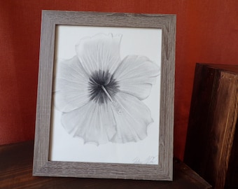 Charcoal Hibiscus Flower Drawing - Framed