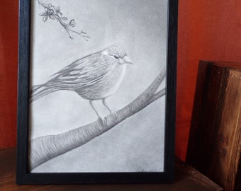Charcoal Cardinal Drawing - Framed