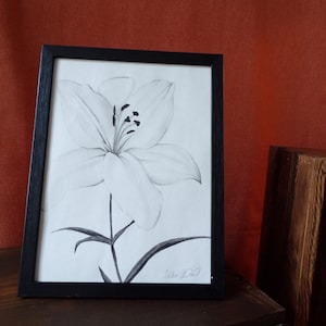 Charcoal Lily Drawing - Framed