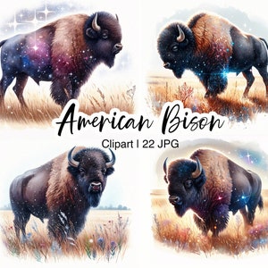 American Bison Clipart, Watercolour Buffalo, 22 High Quality JPG, Wall Art, Western Sublimation, Paper Craft Digital Download, Commercial