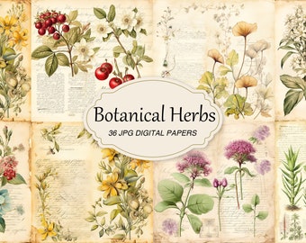 Papieren vintage botanische kruidenverpakking, antieke bloemen ephemera (digitale download)