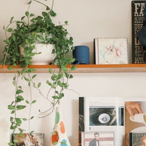 Transform Your Zoom Call, Google Meet, Skype with Stunning Virtual Backgrounds Mixed Media Bookshelf, Perfect for Remote Work and Interviews