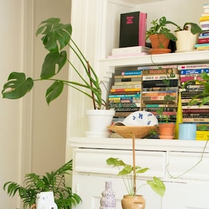 Transform Your Zoom Call, Google Meet, MS Teams, Skype with Stunning Bookshelf Virtual Backgrounds, Perfect for Remote Work and Interviews