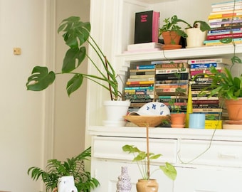 Transforme su llamada de Zoom, Google Meet, MS Teams y Skype con impresionantes fondos virtuales de estantería, perfectos para trabajo remoto y entrevistas