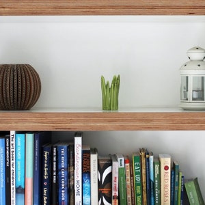 Transform Your Zoom Calls, Google Meet, Microsoft Teams with Stunning Bookshelf Virtual Backgrounds, Perfect for Remote Work and Interviews