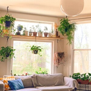 Transform Your Zoom Call, Google Meet, MS Team with Stunning Garden Living Space Virtual Backgrounds, Perfect for Remote Work and Interviews