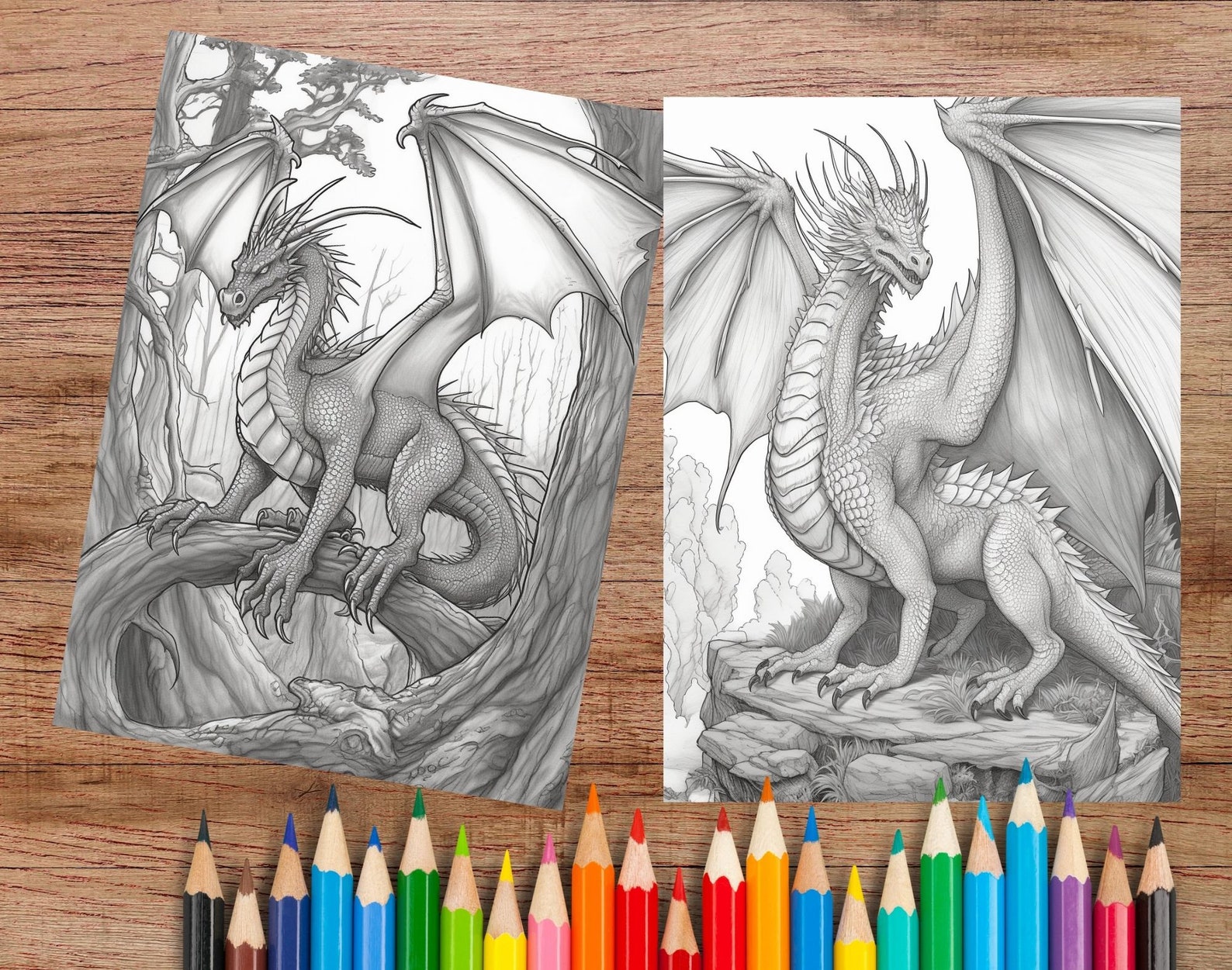 24 Detailed Dragon Coloring Pages Instant PDF Download Adult Coloring