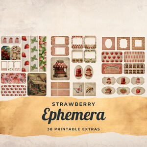 Strawberry Junk Journal Ephemera Cards, 38 Extras Pack, Strawberries Digital Printable Ephemera, Paper Craft, Collage Sheet 11 x 8.5, JJ002