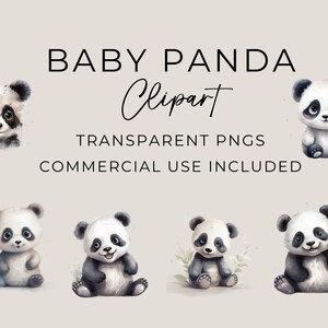 Clipart Baby Panda, Clipart ad acquerello, Clipart per uso commerciale, ClipArt di Baby Panda carino, PNG trasparente, ClipArt di animali carini