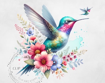 Watercolor Hummingbird Clipart, PNG Pastel Bird Clipart, Hummingbird PNG, Spring Floral Clip Art, Hummingbird Digital Art