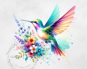 Watercolor Hummingbird Clipart, PNG Pastel Bird Clipart, Hummingbird PNG, Spring Floral Clip Art, Hummingbird Digital Art