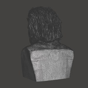 May include: A wireframe model of a person's head and shoulders, viewed from the back. The model is made of a fine mesh of lines, creating a detailed representation of the human form.