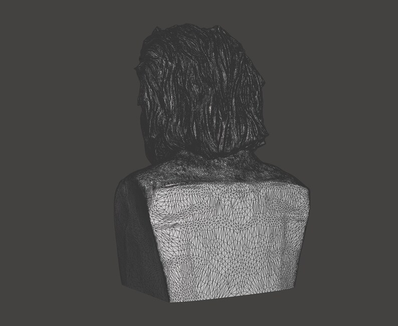 May include: A wireframe model of a person's head and shoulders, viewed from the back. The model is made of a fine mesh of lines, creating a detailed representation of the human form.