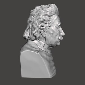 May include: A 3D printed bust of Albert Einstein, a famous physicist, with a detailed depiction of his hair and facial features.