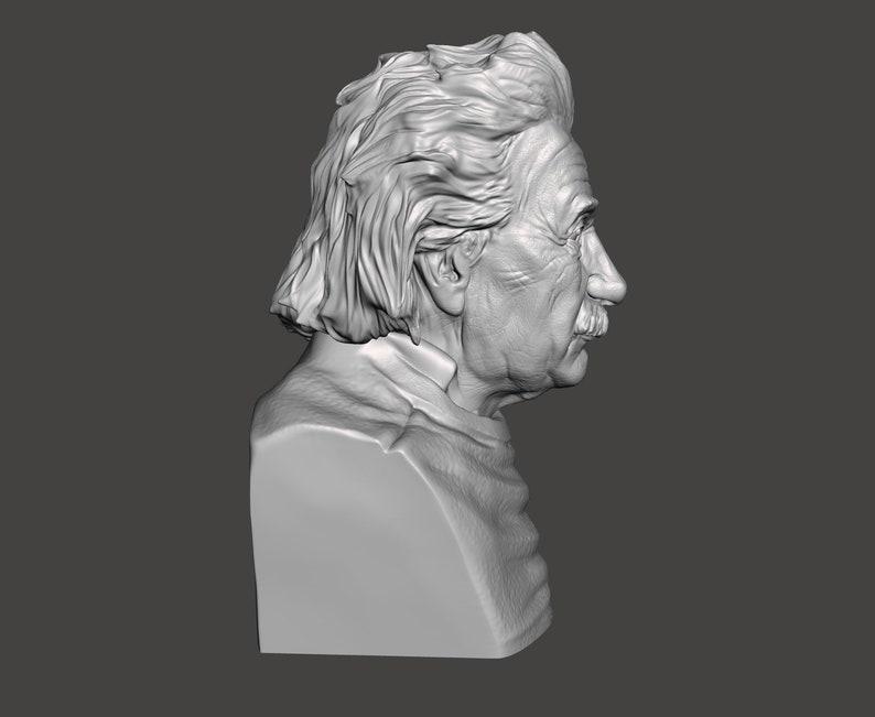 May include: A 3D printed bust of Albert Einstein, a famous physicist, with a detailed depiction of his hair and facial features.