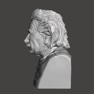 May include: A detailed bust sculpture of Albert Einstein, a famous physicist, with a realistic depiction of his hair and facial features.