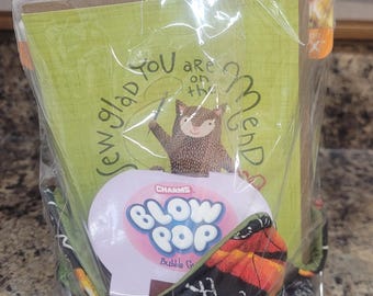 Cesto di pronta guarigione