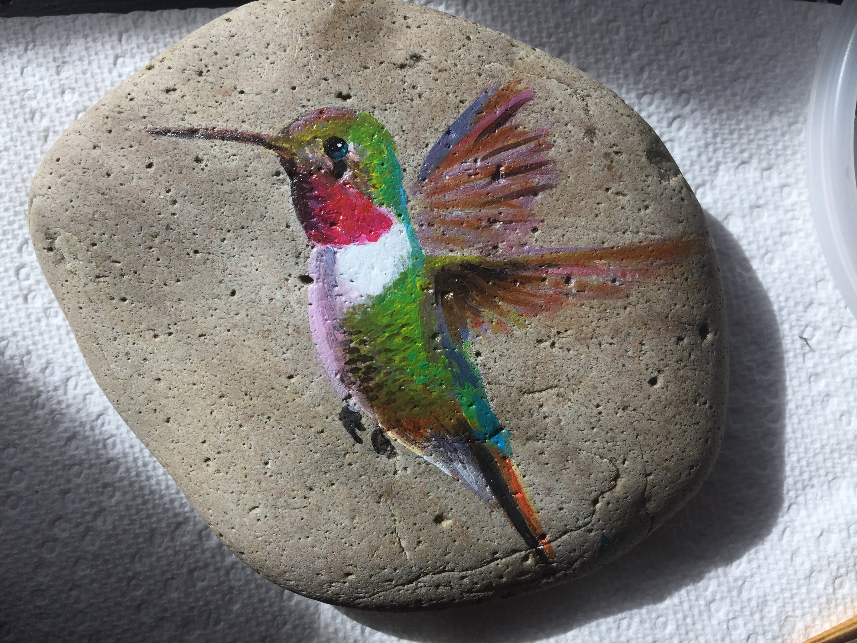 Custom Hand Painted Rocks, Pet Portrait Memorials, Personalized Garden ...
