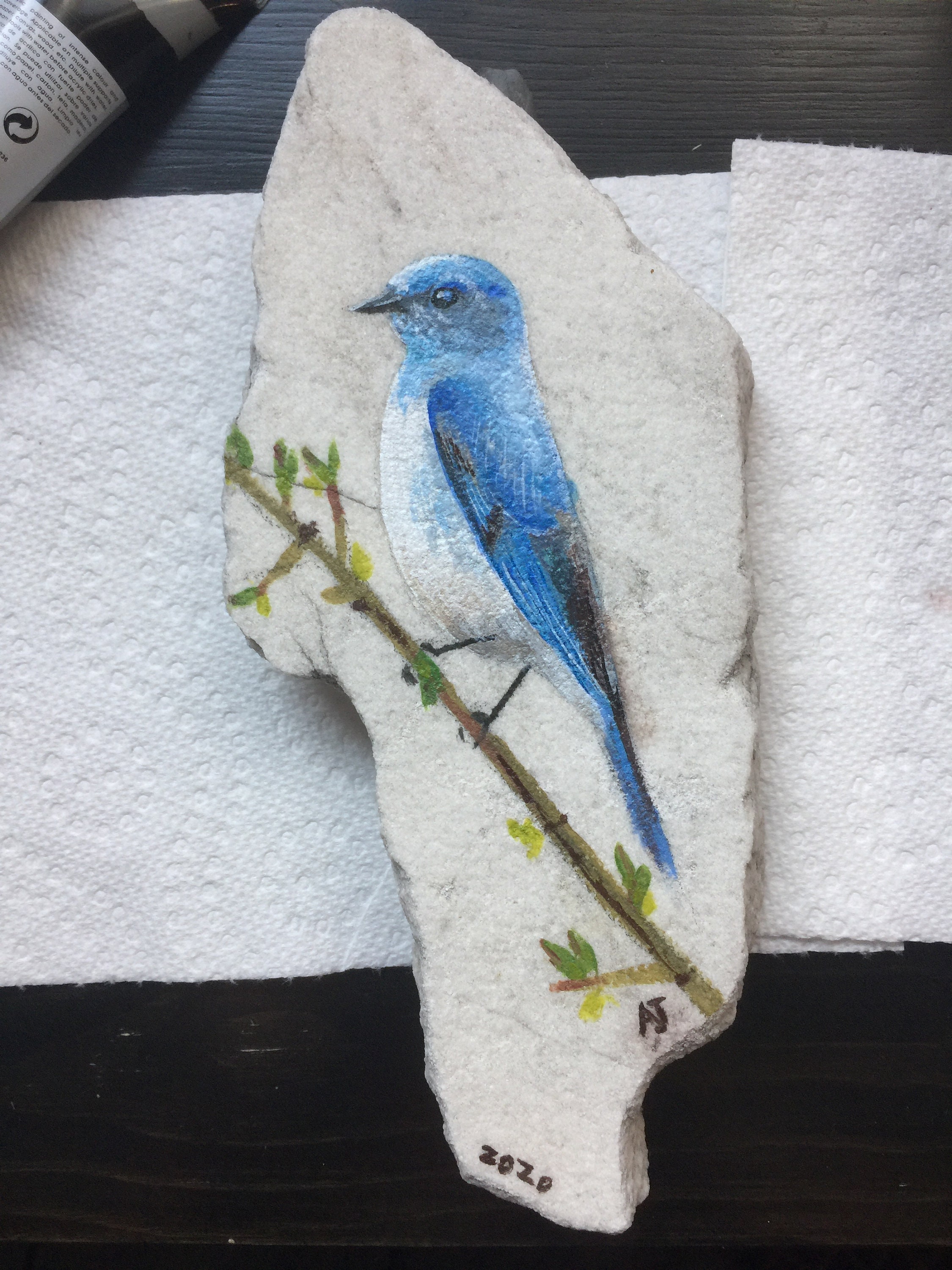 Custom Hand Painted Rocks, Pet Portrait Memorials, Personalized Garden ...