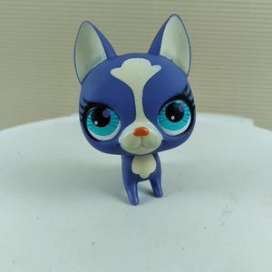 Littlest Pet Shop LPS Authentic #2750 Boston Terrier Dog (Generation 4)