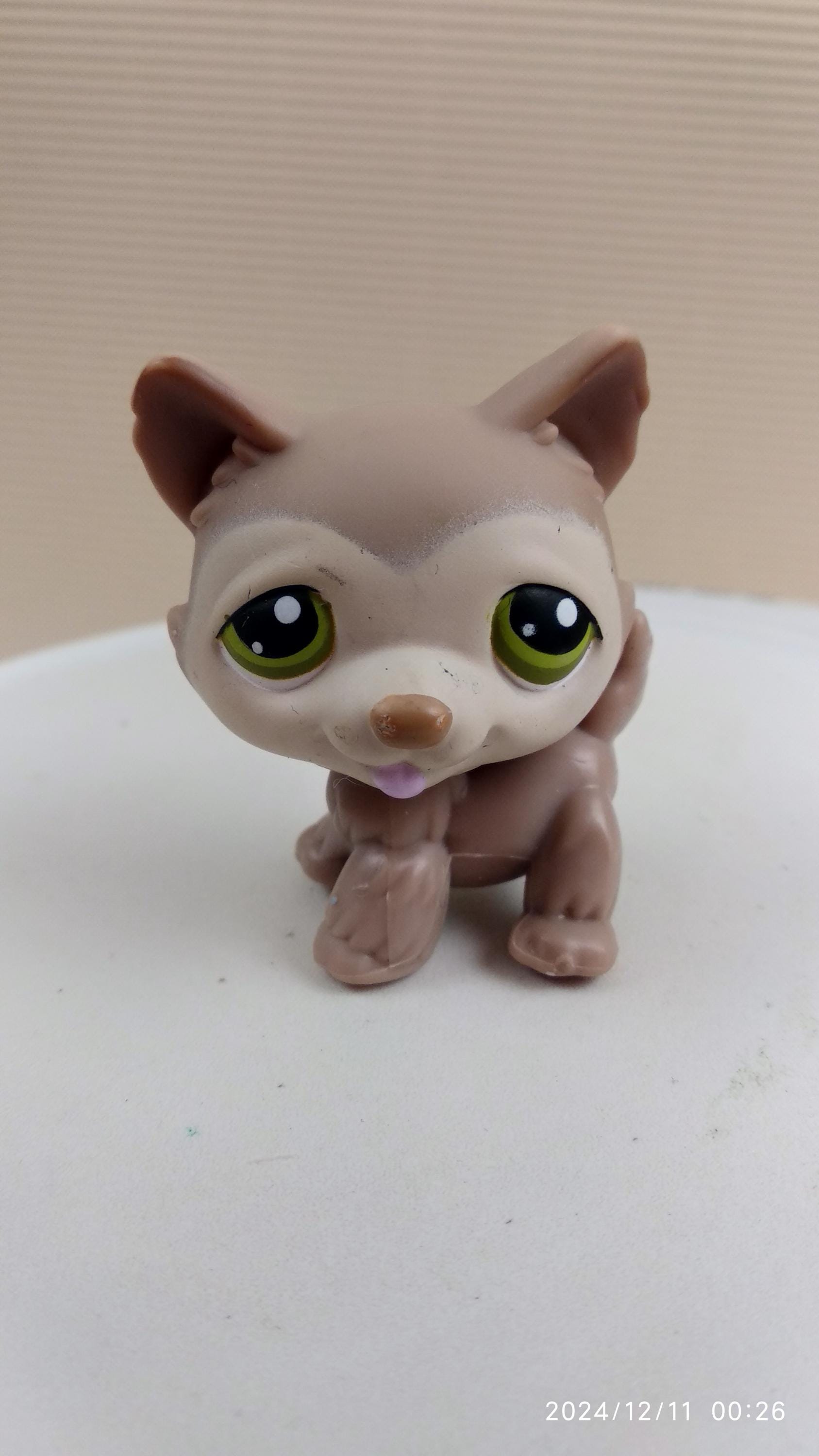 HUSKY DOG 341 authentische Littlest Pet Shop Hasbro LPS Welpe
