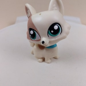 Littlest Pet Shop LPS #4006 Argo Kibbley Hund Blaue Augen Corgis Braun Tan Weiß