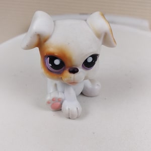 Littlest Pet Shop LPS Hasbro Figure -- #84 White Brown Sitting Boxer Puppy Dog