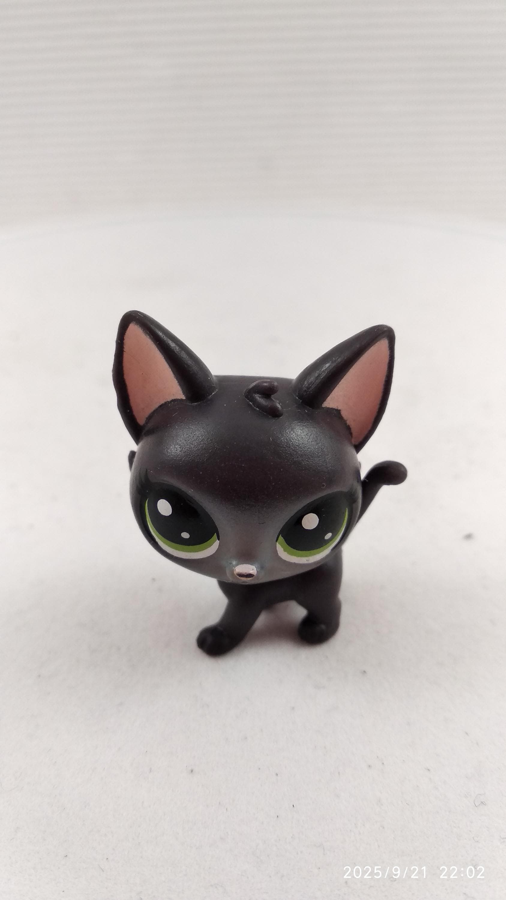 Littlest Pet Shop Authentic # 2-74 Jade Catkin Black G6 Cat Kitten