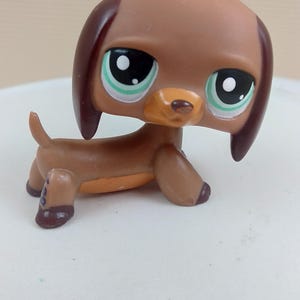 Littlest Pet Shop Authentic # 1950 Brown Caramel Dachshund Aqua Blue Eyes