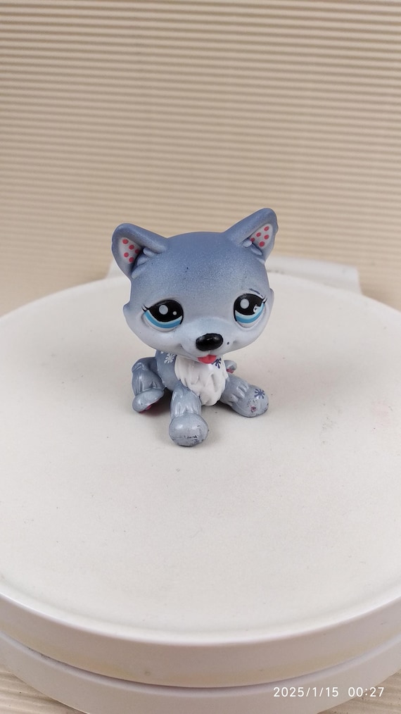 Doll Lps 1617 Littlest Pet Shop Authentic 1617 Blue Gray Blythe Husky