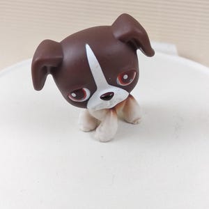 Littlest Pet Shop LPS #25 Braun weißer Boxer Welpe mit braunen Augen