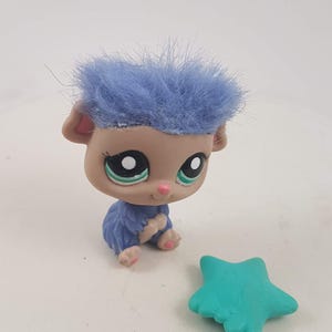 Littlest Pet Shop Authentic # 2568 Blue Fuzzy Haired Guinea Pig Rare European