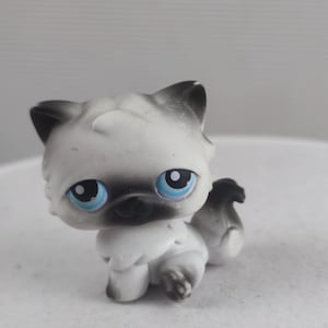 Littlest Pet Shop #1953 - Chat Persan Authentique HASBRO - Occasion