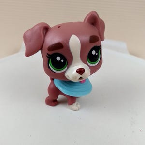 Littlest Pet Shop Auténtico n.º 129 Calla Boxton Perro Boxer Marrón Crema Ojos Verdes