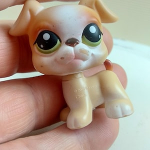 Perro boxer beige de ojos verdes de Littlest Pet Shop n.° 235, retirado en 2007
