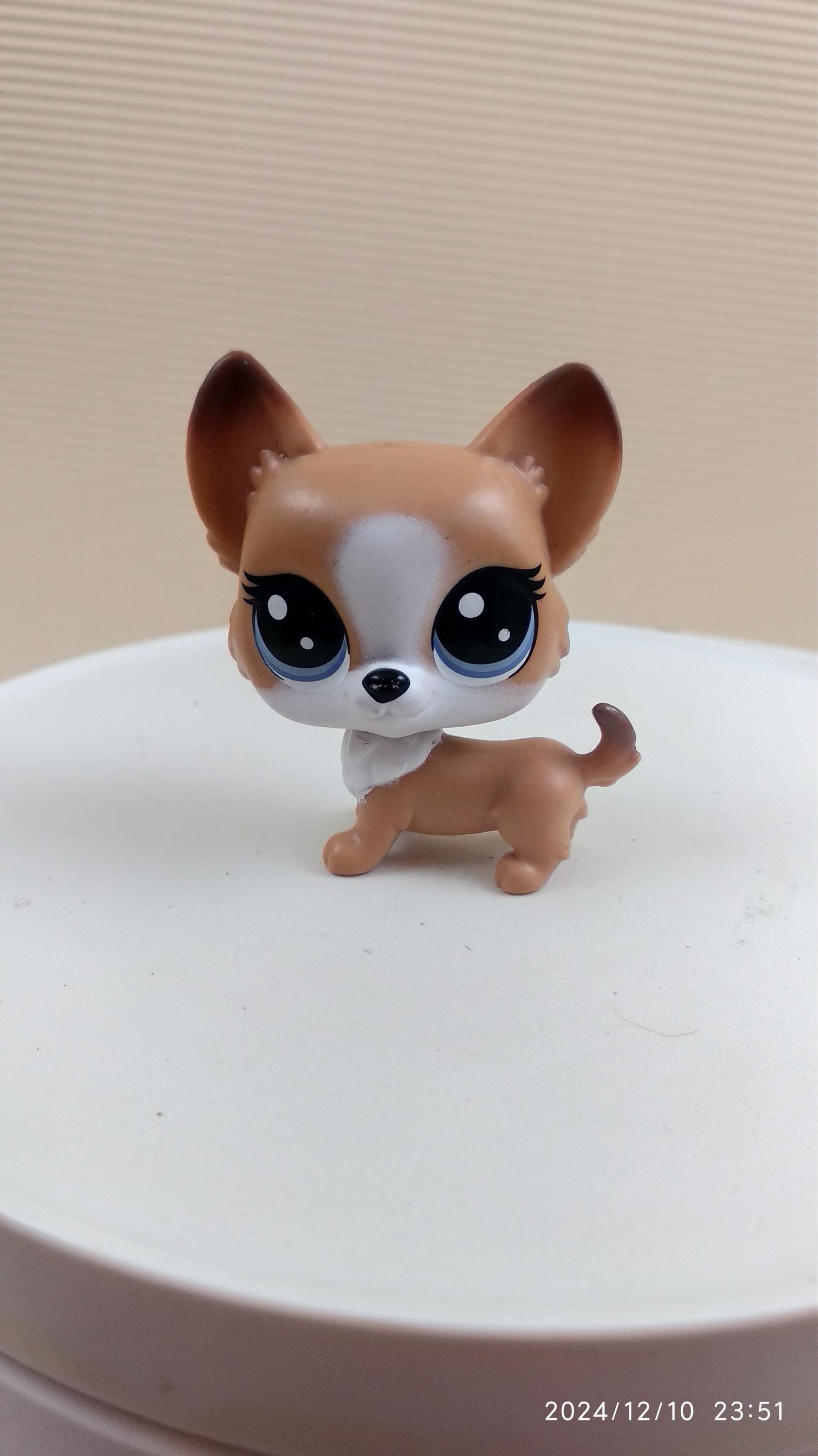 LPS #2290 LITTLEST PETSHOP ORIGINAL AUTHENTIQUE CHIEN CORGI