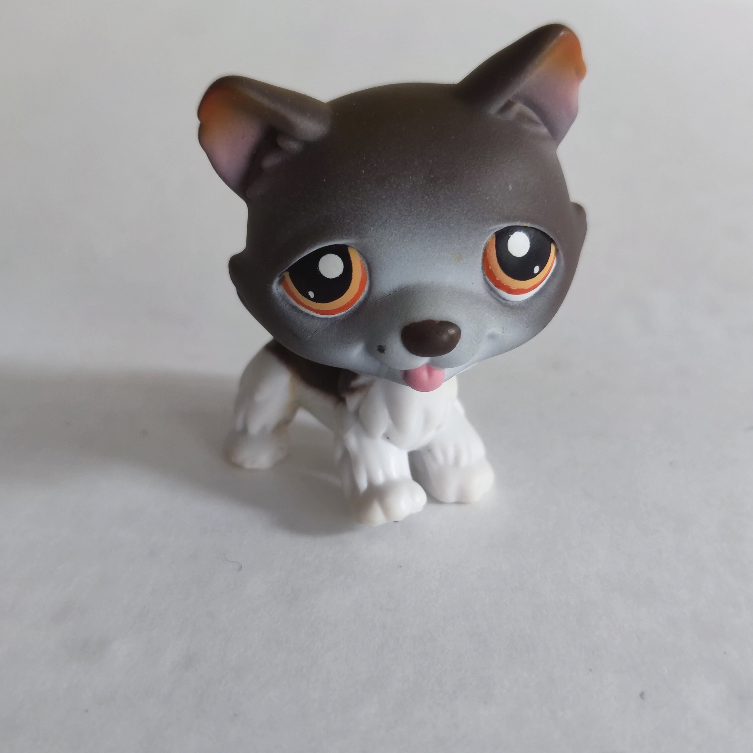 Figurine Littlest Pet Shop Hasbro - Chien Husky N°174 - Occasion - Collection Jouet
