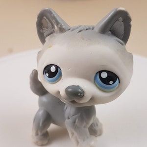 Littlest Pet Shop #69 Grauer Husky Hund stehend blaue Augen