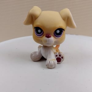 Figura de juguete de perro boxer blanco tostado de Littlest Pet Shop LPS Hasbro con ojos morados n.° 451