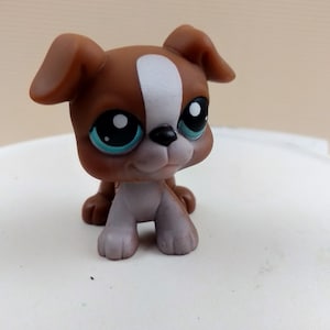 Cachorro de perro boxer de Littlest Pet Shop n.° 83, ojos de color marrón, blanco y con puntos azules