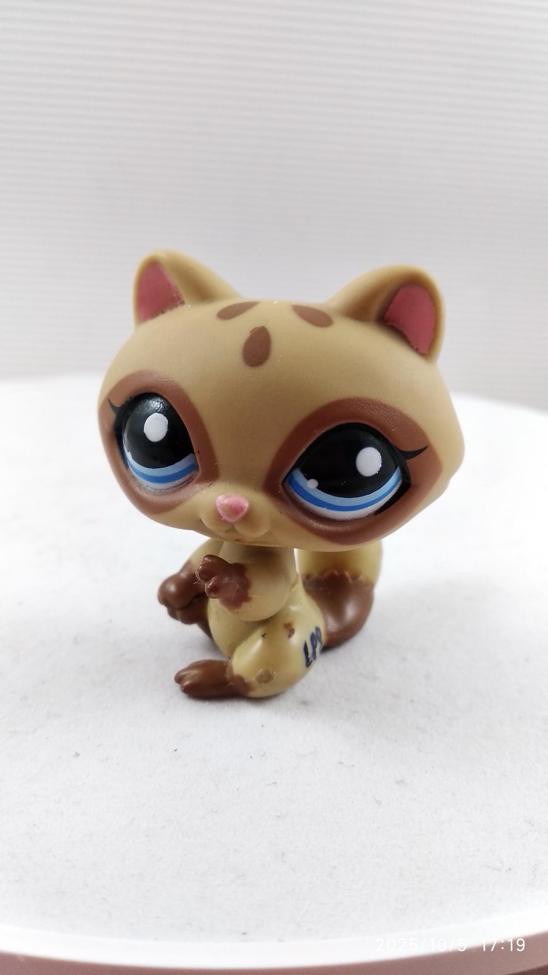 LPS Raccoon #1348: Authentic Littlest Pet Shop Vintage Toy - Etsy